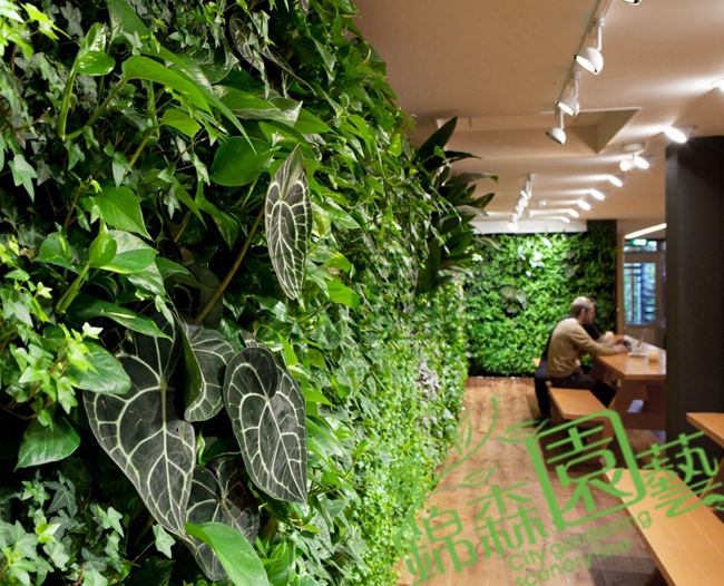 绿化植物墙设计要点